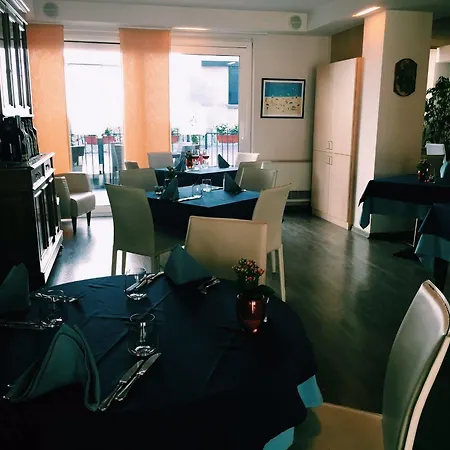 Di 3* 콜리코